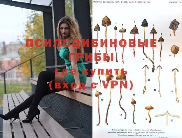 spice Алексеевка