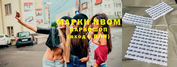 прущие грибы Алзамай