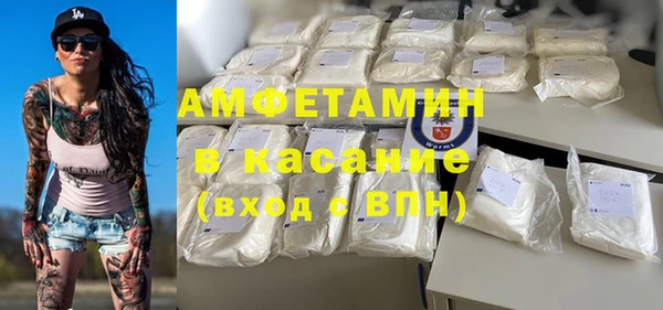 прущие грибы Алзамай