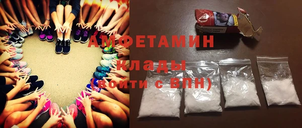 прущие грибы Алзамай