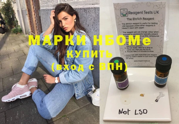 прущие грибы Алзамай