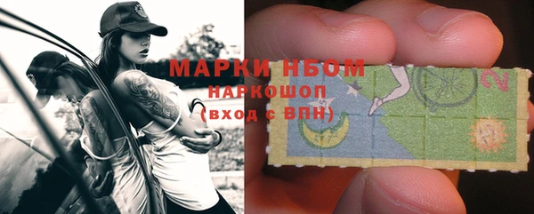 прущие грибы Алзамай